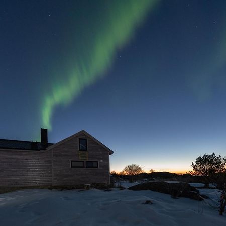 Koselig Bolig I Lofoten / Vesteralen Stronstad i Vesteralen Dış mekan fotoğraf